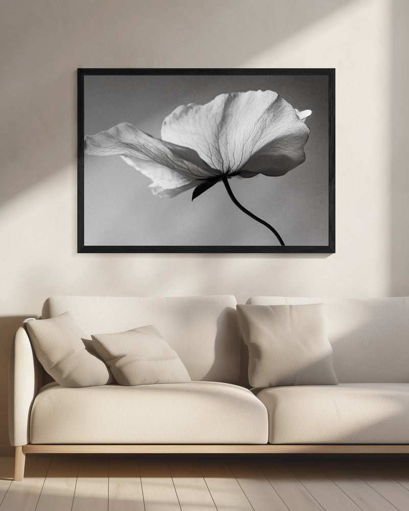 Delicate Bloemblaadjesdans | Canvas