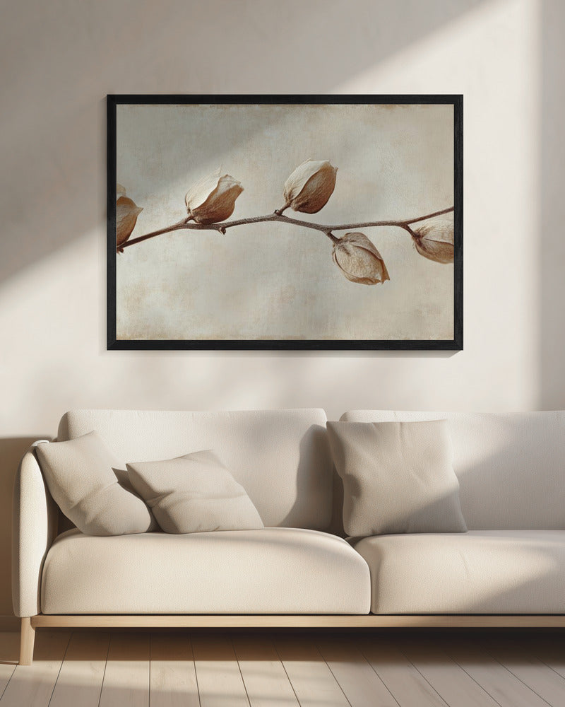 Vervaagde elegantie | Canvas