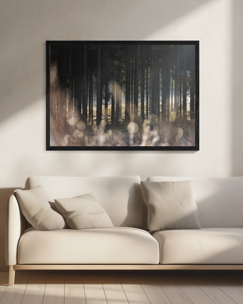 Bosgloed 1 | Canvas