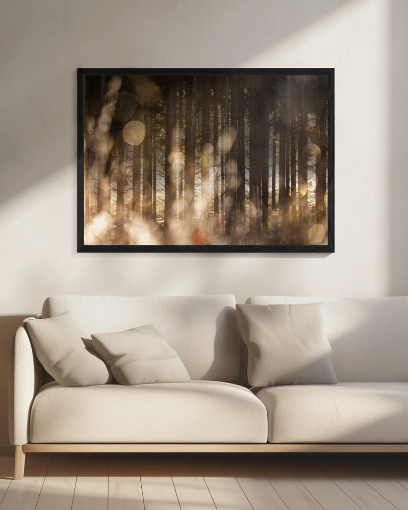 Bosgloed 2 | Canvas