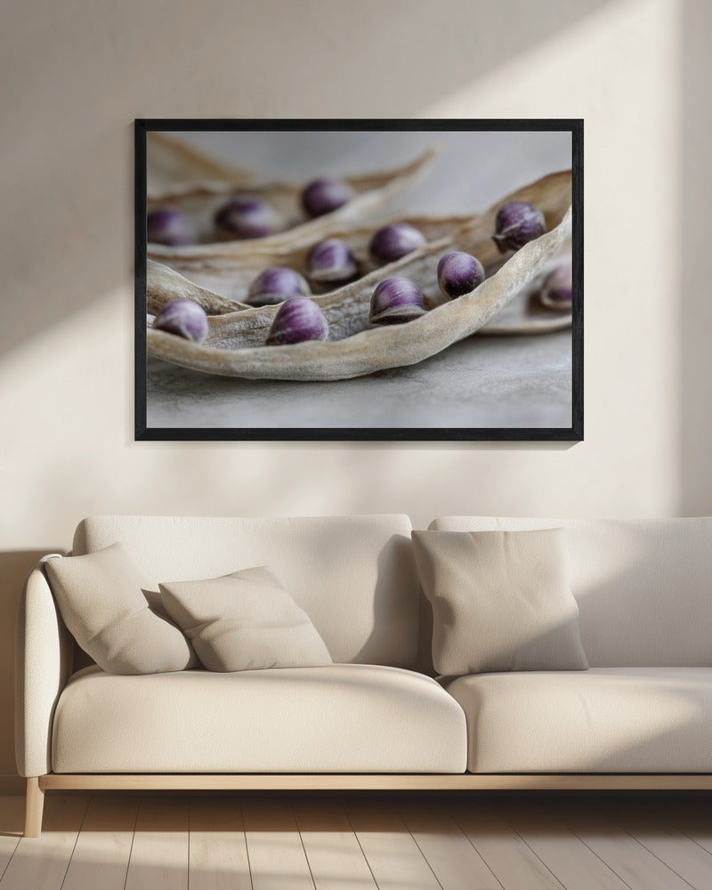 Paarse Zaad Symfonie | Canvas