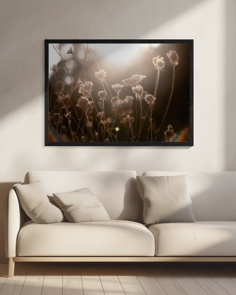 Warm Winterlicht 3 | Canvas