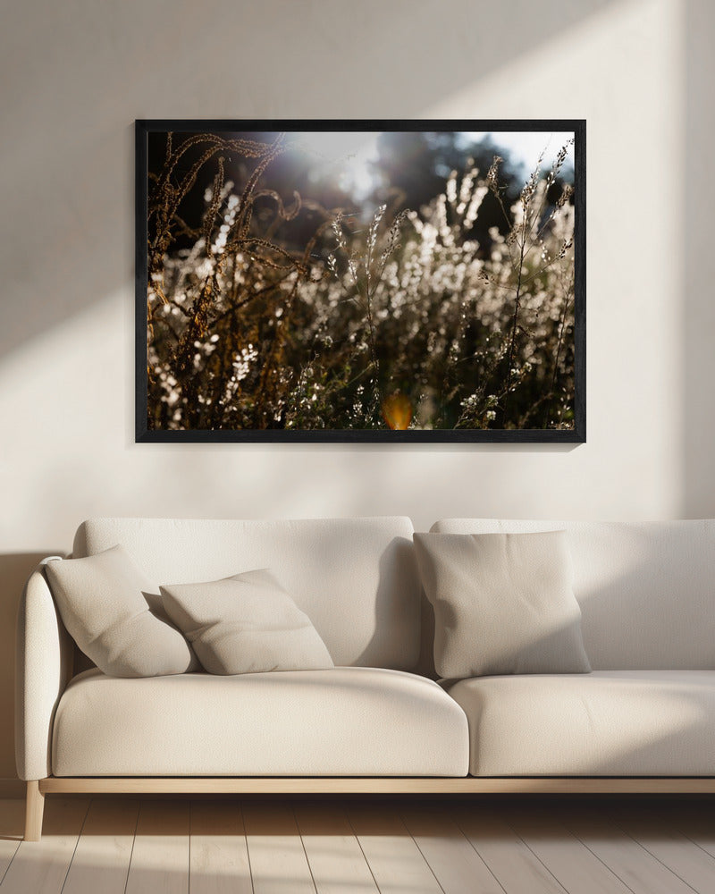 Warm Winterlicht 7 | Canvas