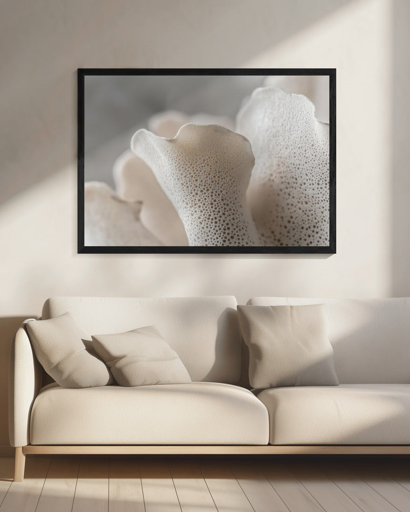 Porseleinen bloemblaadjes | Canvas