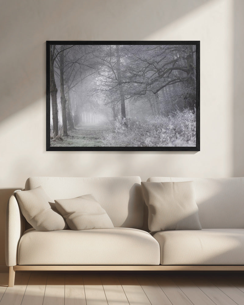 Mistige winterochtend 1 | Canvas