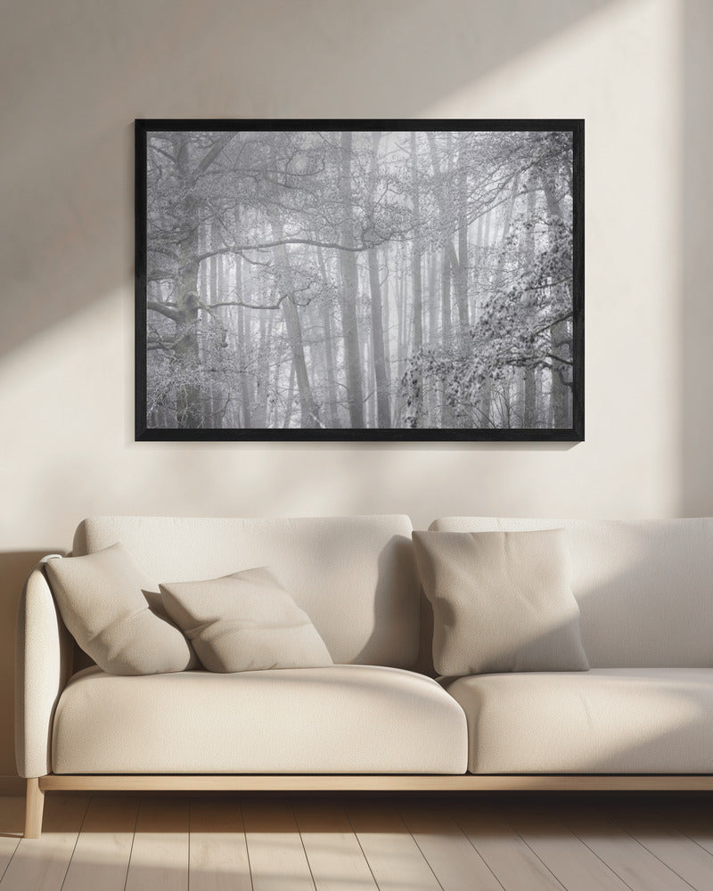 Mistige winterochtend 2 | Canvas