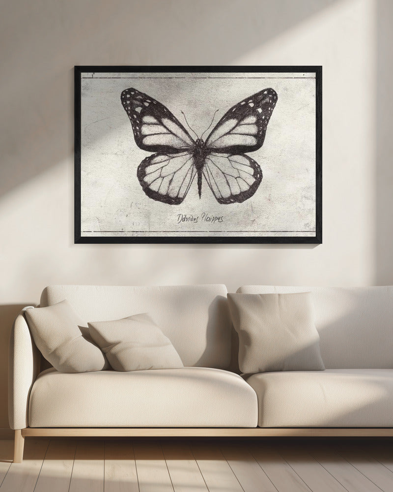 Schets van een monarchvlinder | Canvas