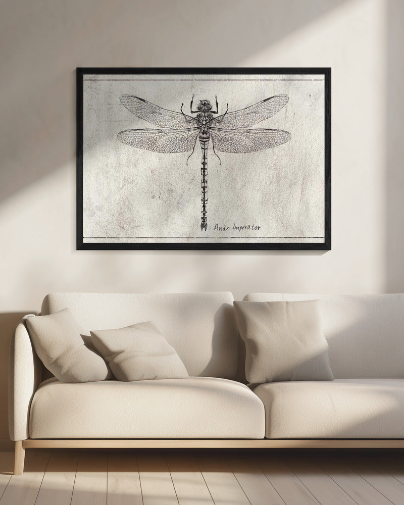Majesteit in Vlucht Anax Imperator | Canvas