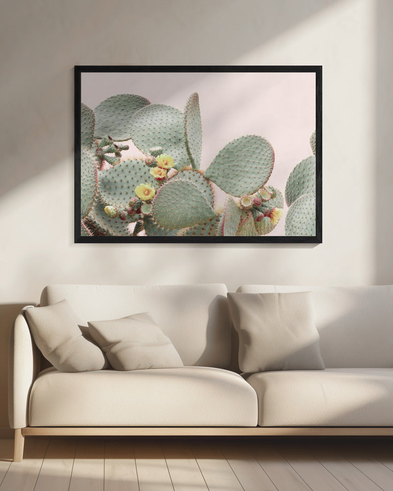 Bloeiende Cactus | Canvas