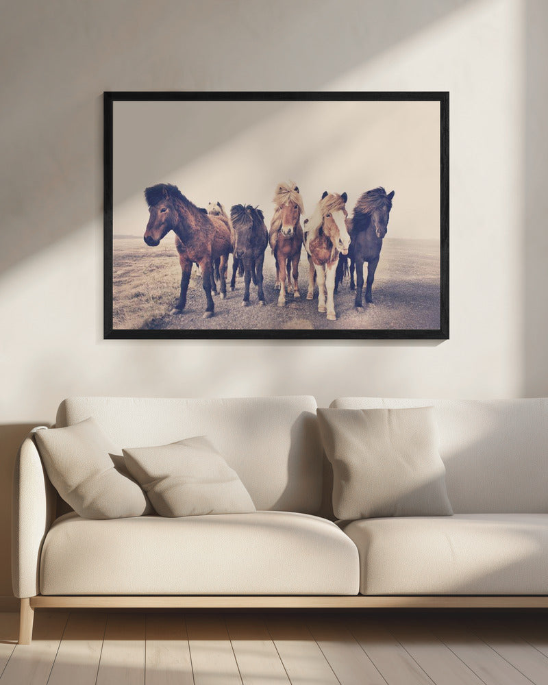 Paarden | Canvas