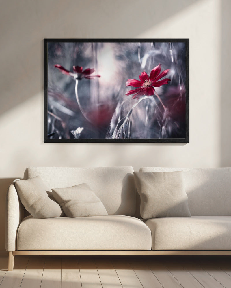 Verleidingsspelletjes | Canvas