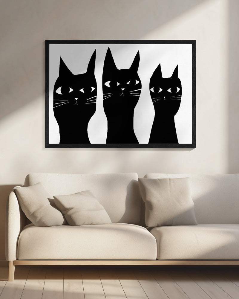 Drie zwarte katten kijken kat | Canvas