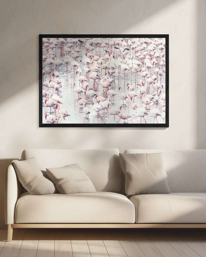 Flamingo's | Canvas