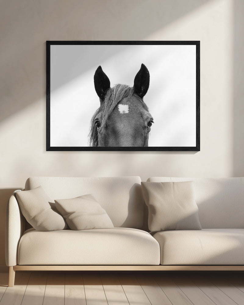 Glurend paard | Canvas
