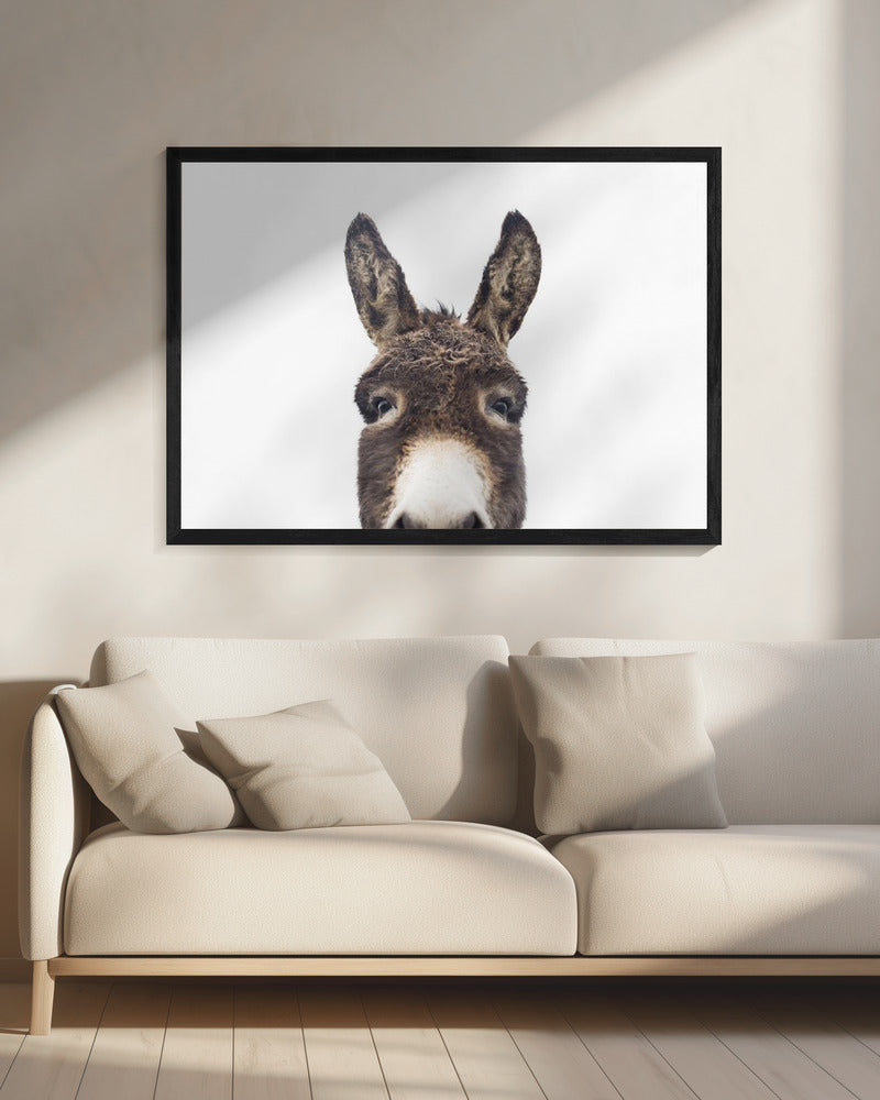 Glurende ezel | Canvas