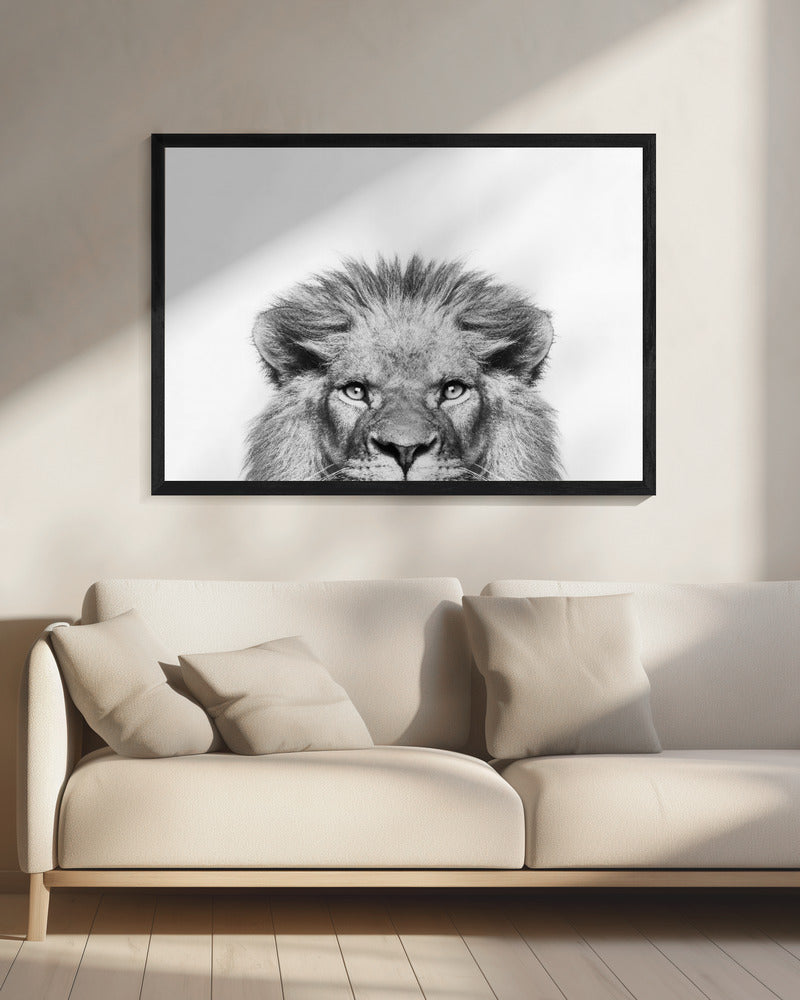 Glurende Leeuw | Canvas