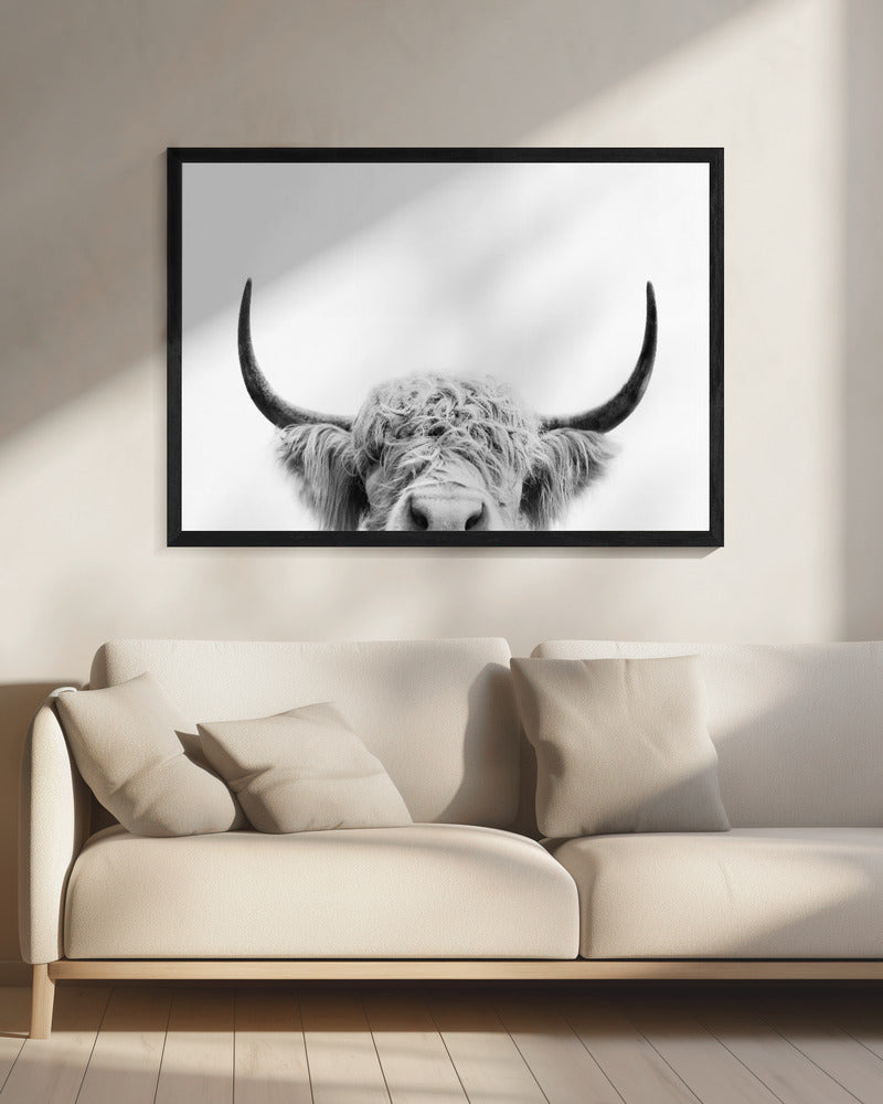 Glurende koe zwart-wit | Canvas