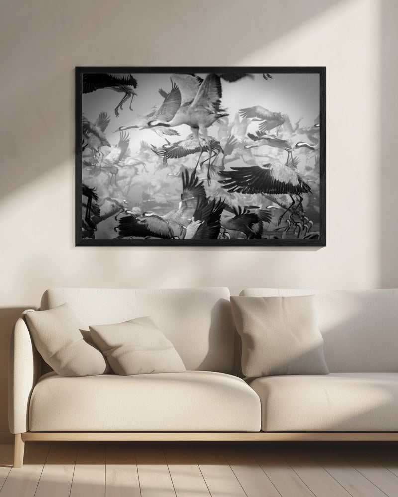 Chaos | Canvas