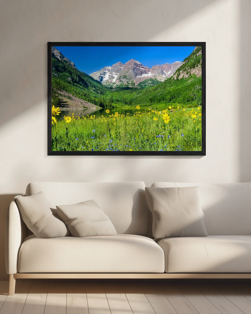 Maroon Bells Wilde Bloemen | Canvas