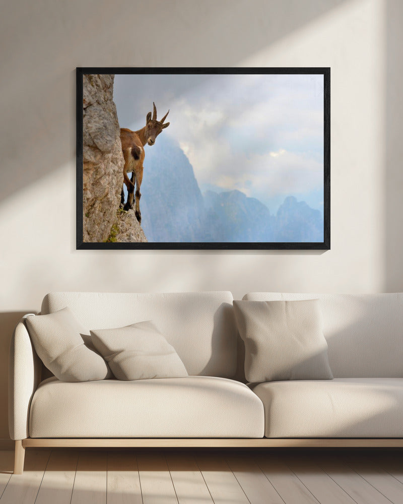 Spanning | Canvas