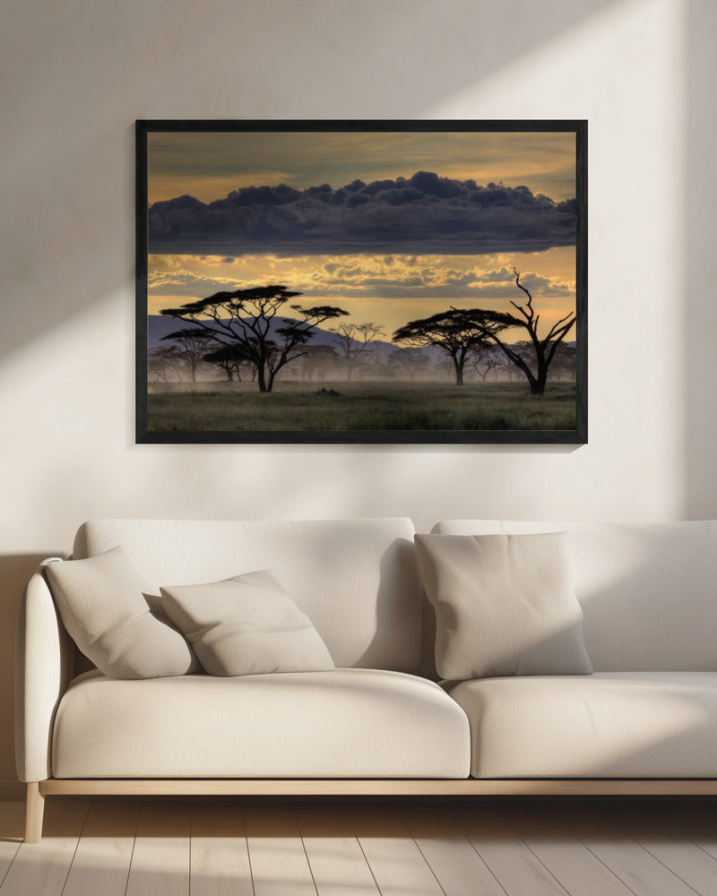 Goedenavond Tanzania | Canvas