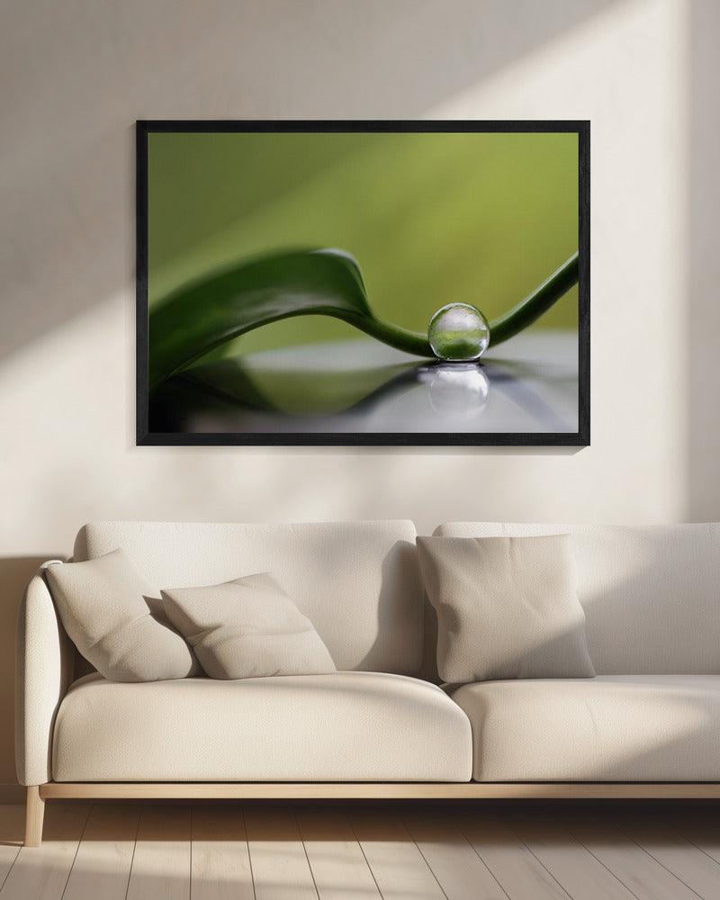 Groene harmonie | Canvas