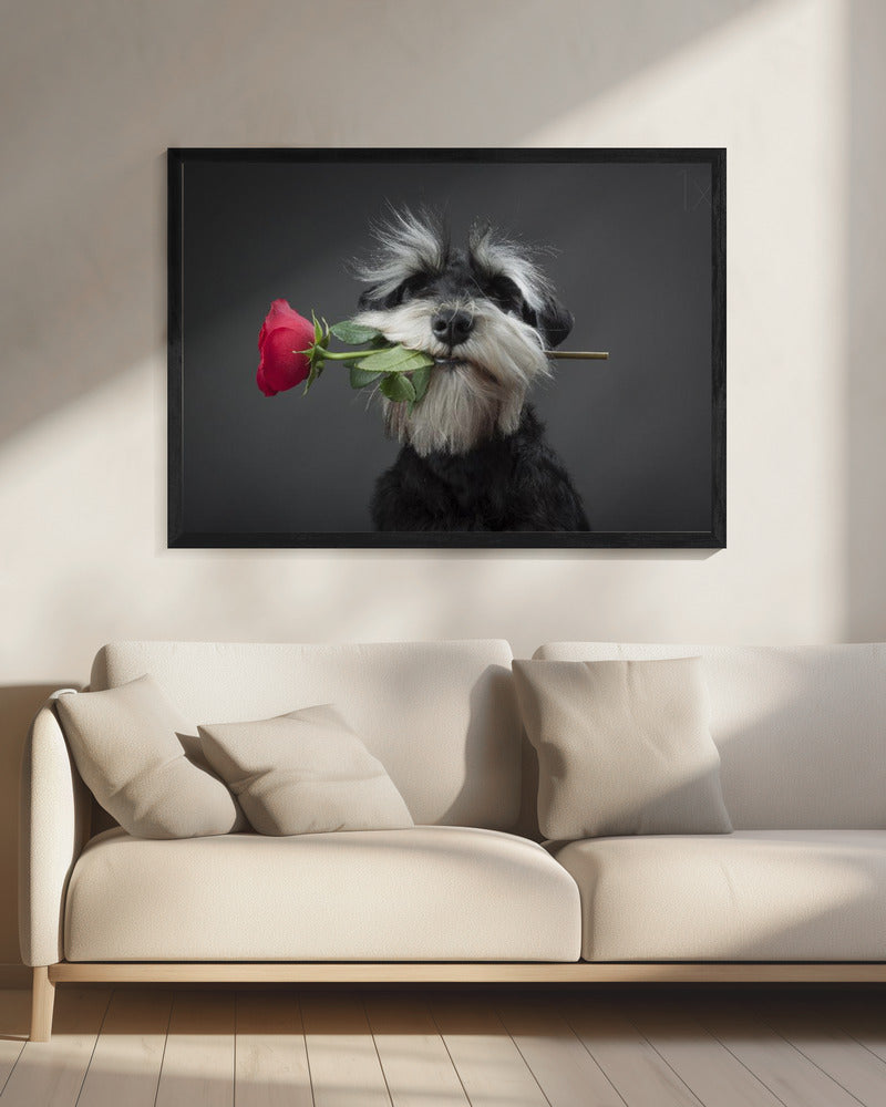 Tangodanseres | Canvas