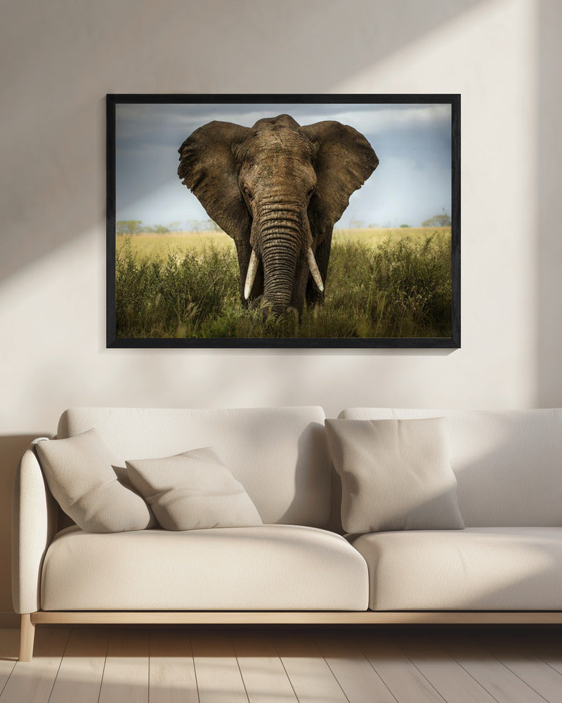 Ontmoetingen in Serengeti | Canvas
