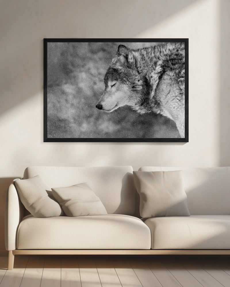 Laat het sneeuwen | Canvas