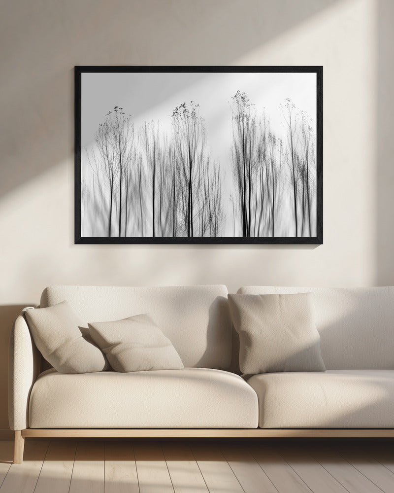 No Grounds | Canvas