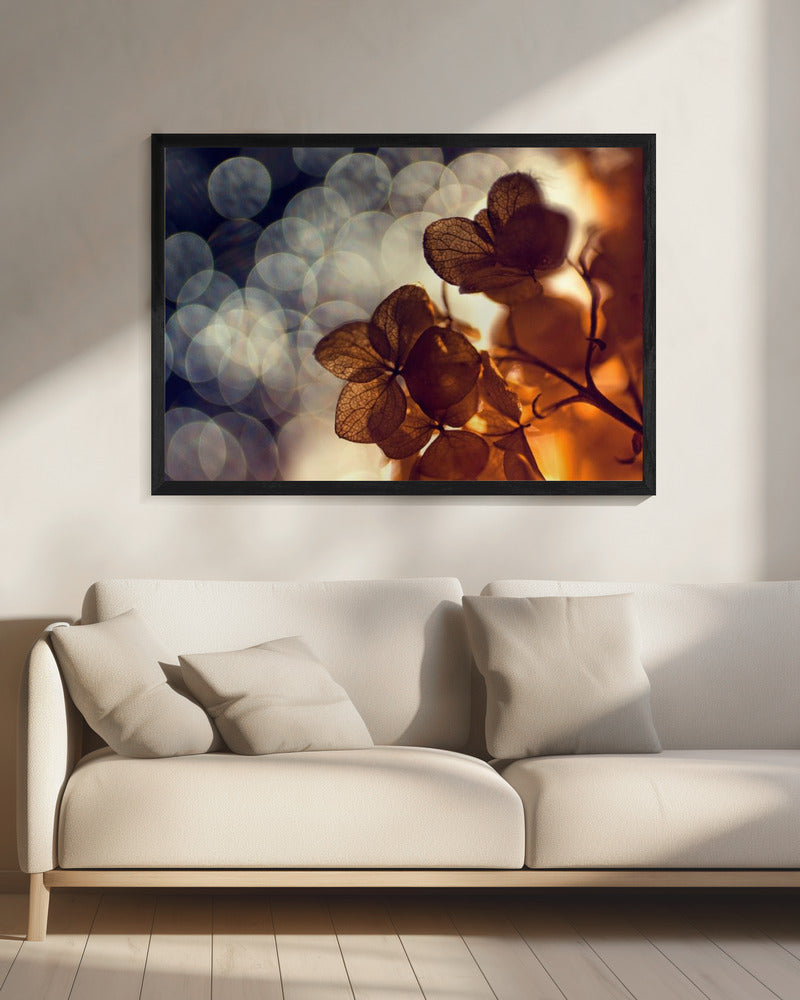 .:.:.** | Canvas
