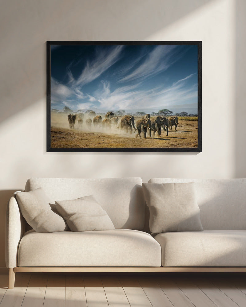 Een heel lang denkproces | Canvas