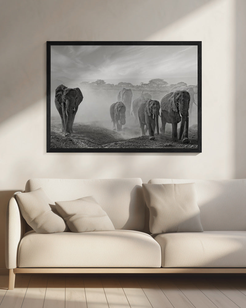 Sequence of emotion | Canvas