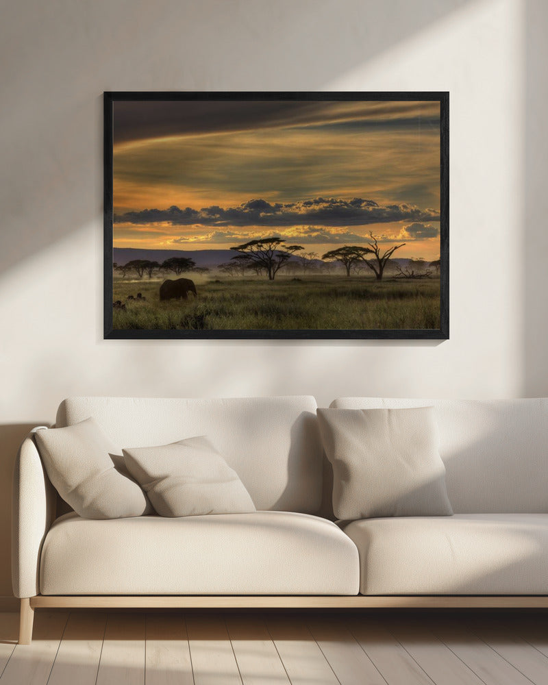 Afrika | Canvas