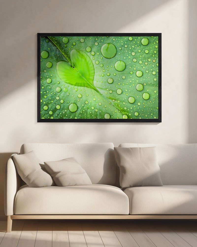 Heart | Canvas