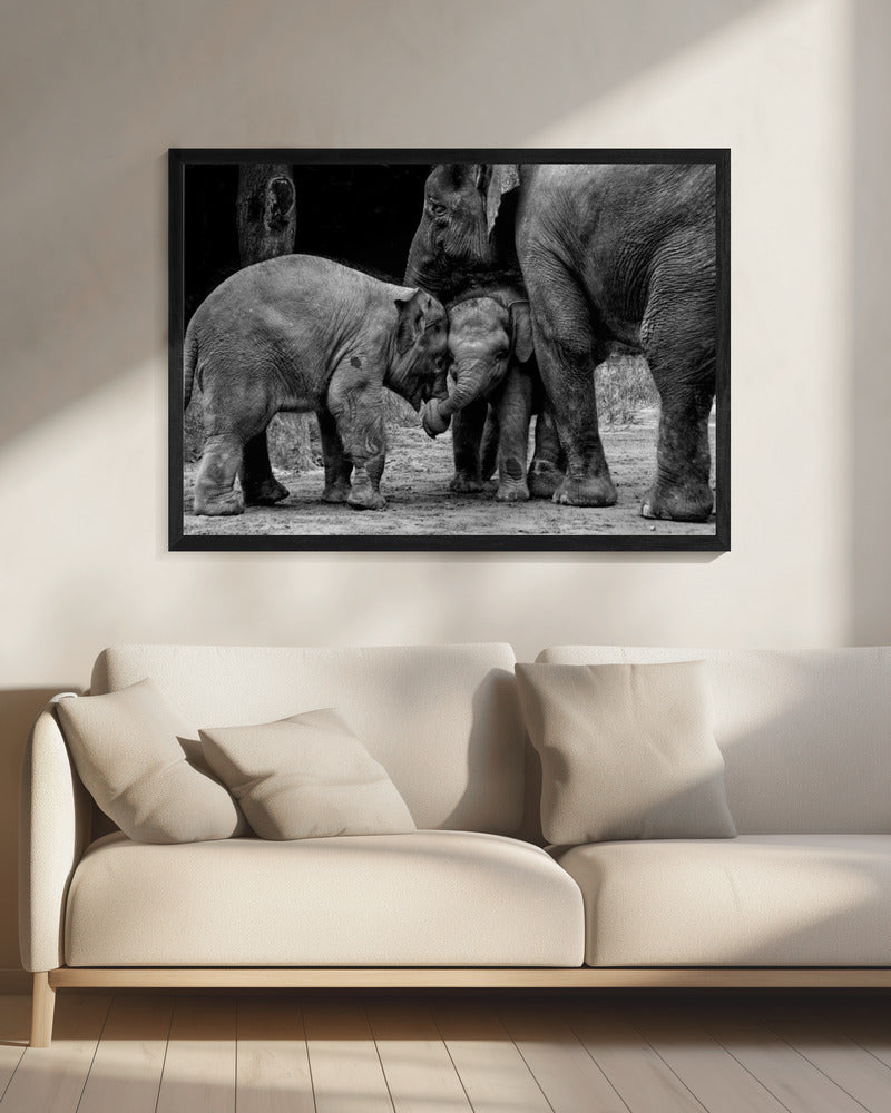 Vrienden voor altijd | Canvas