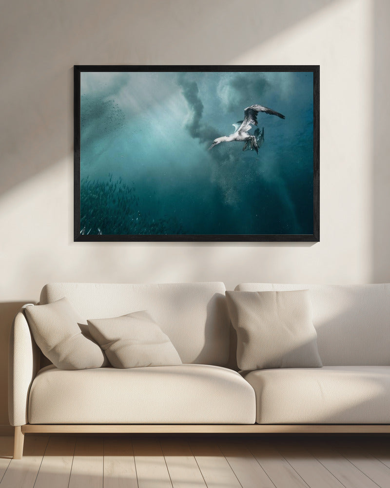 duiker | Canvas