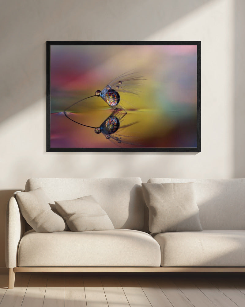 Colorize the darkness | Canvas