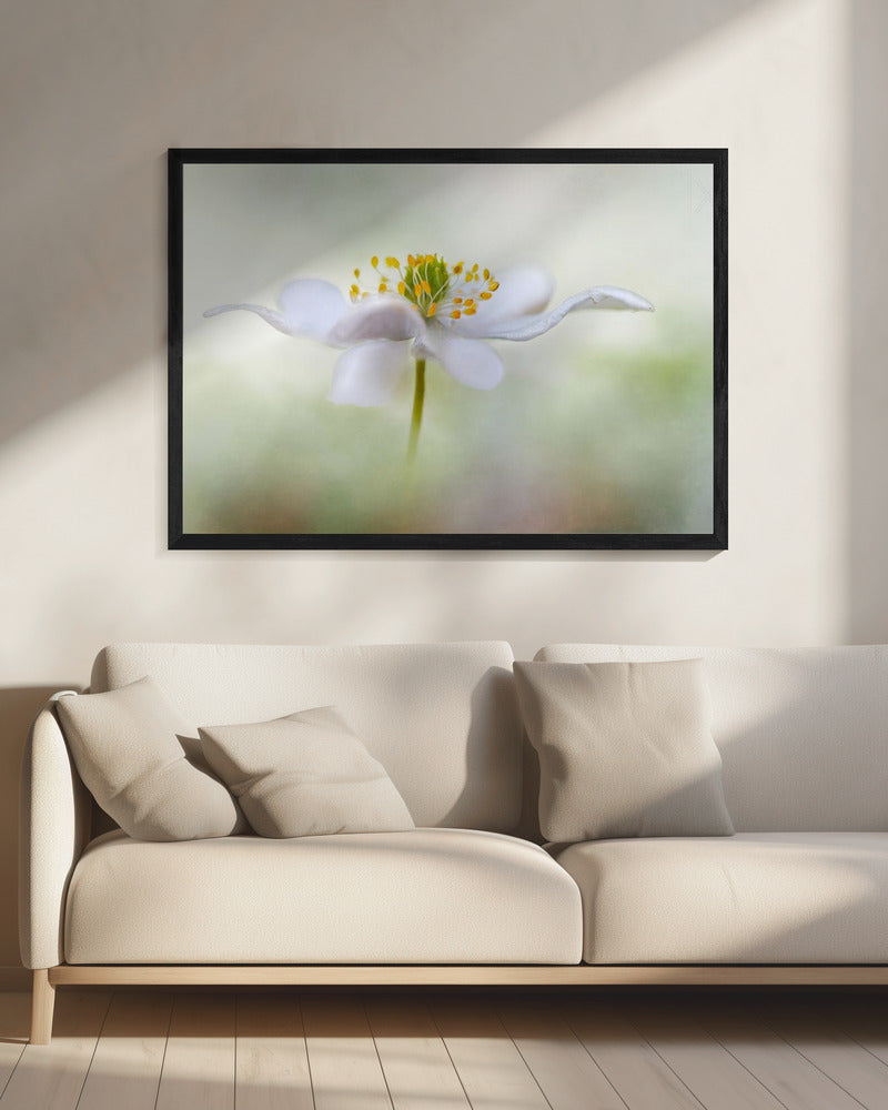 Nemorosa* | Canvas