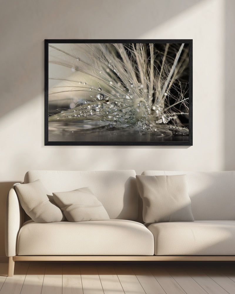 Pearls | Canvas