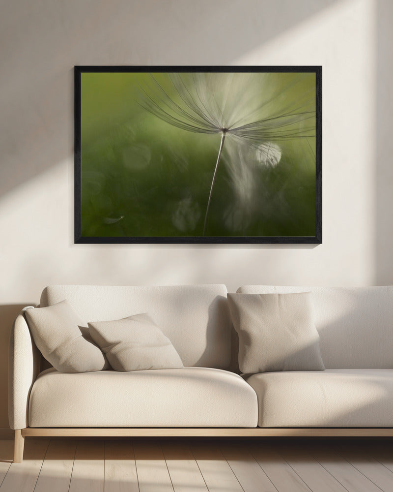 Schaduwen in het groen | Canvas