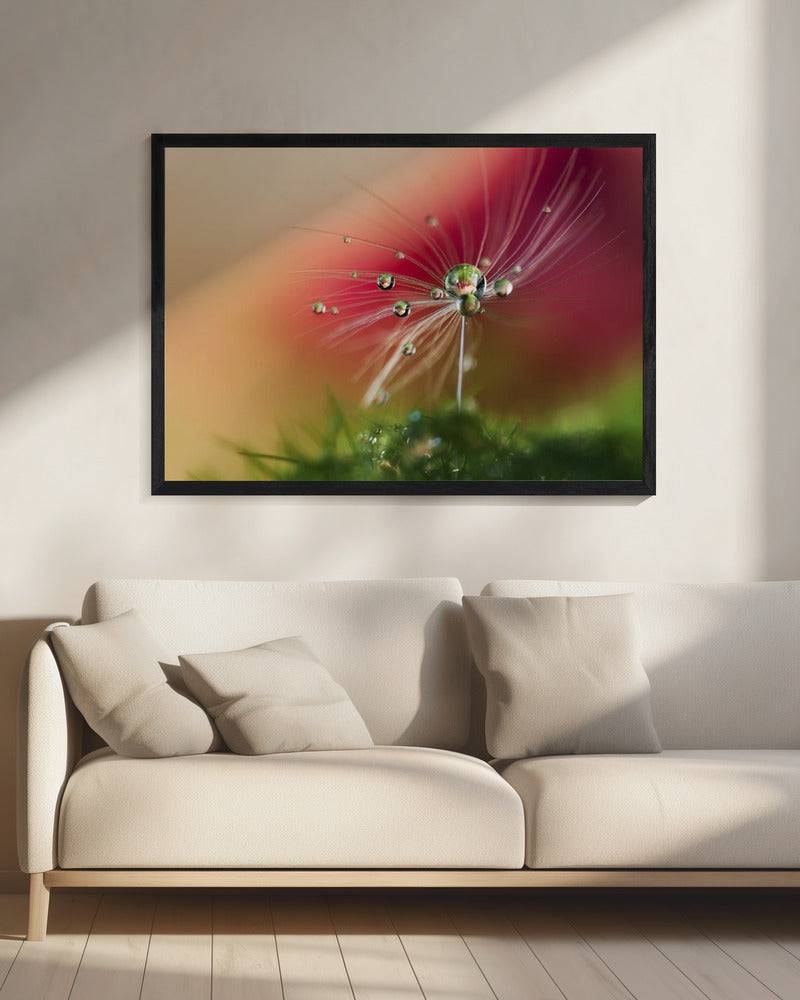 Rode Ochtend | Canvas