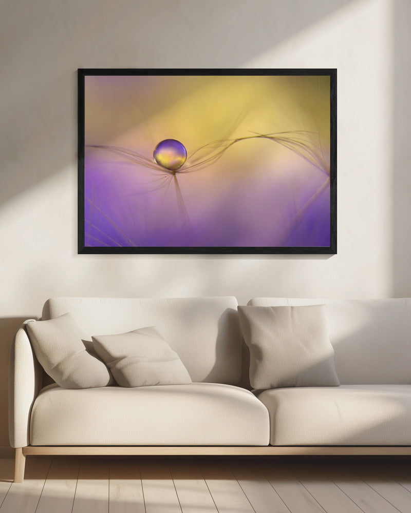 In arms | Canvas