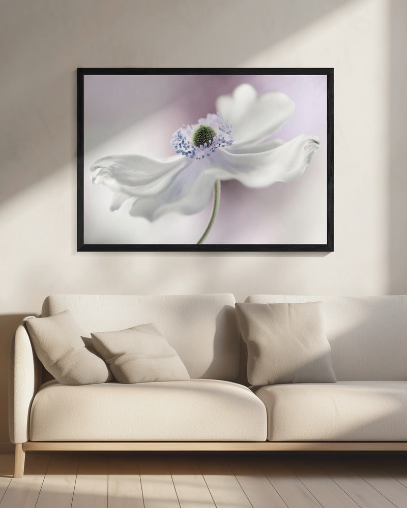 Anemoonbries | Canvas
