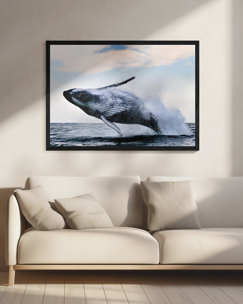 inbreuk | Canvas