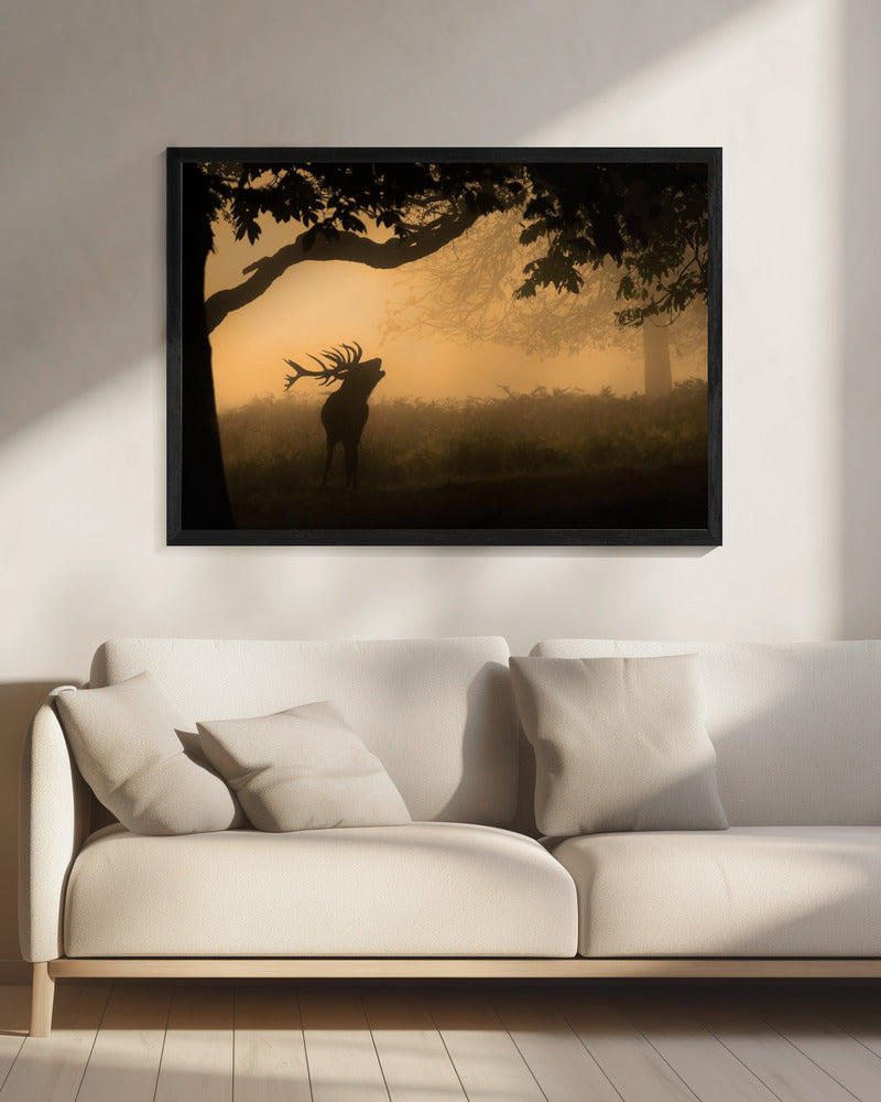 de liefdesroep | Canvas