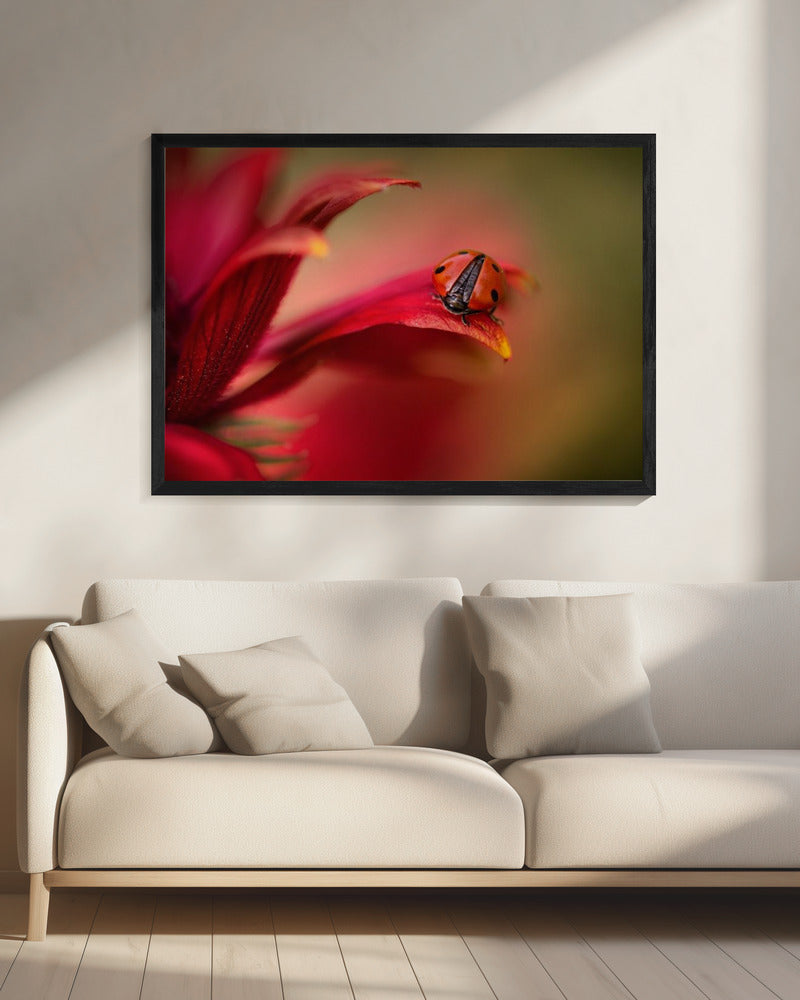 Gewoon rood | Canvas