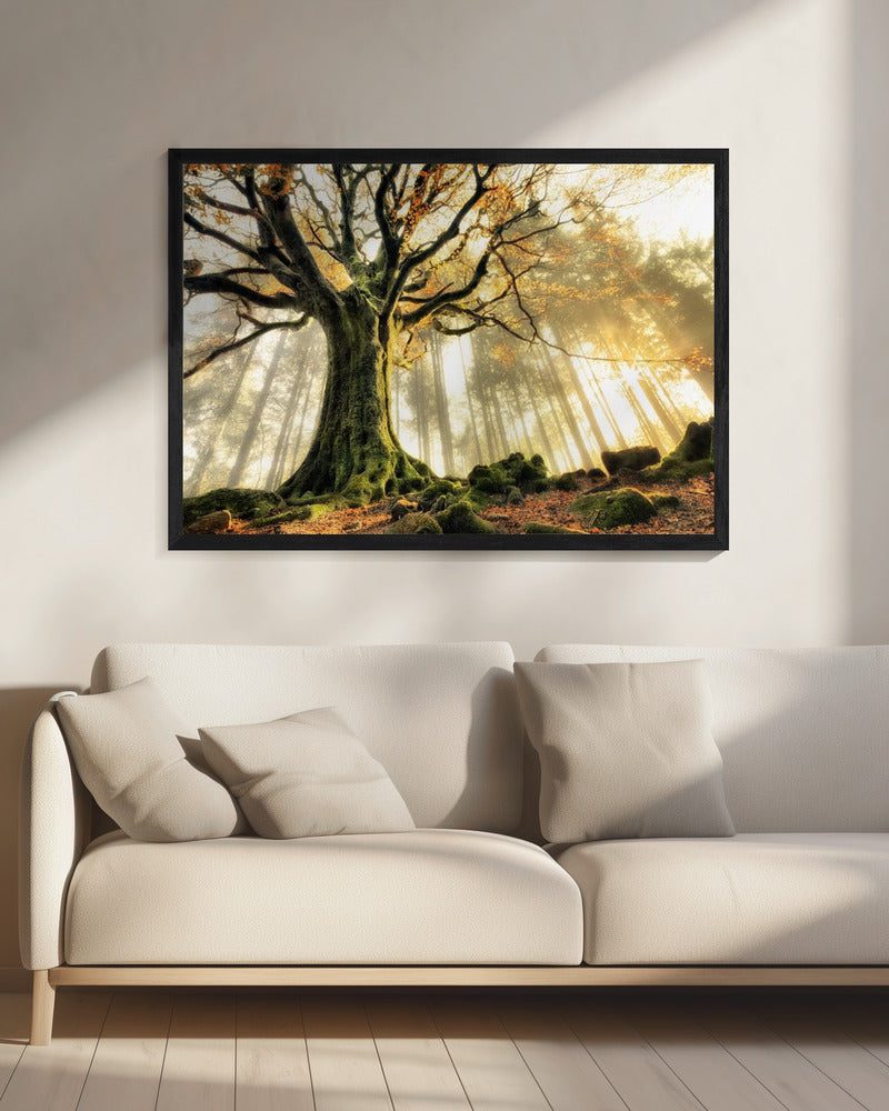 November | Canvas
