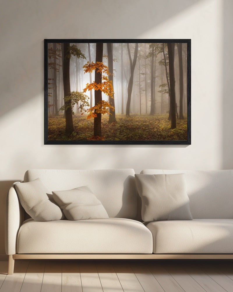 In novemberlicht | Canvas