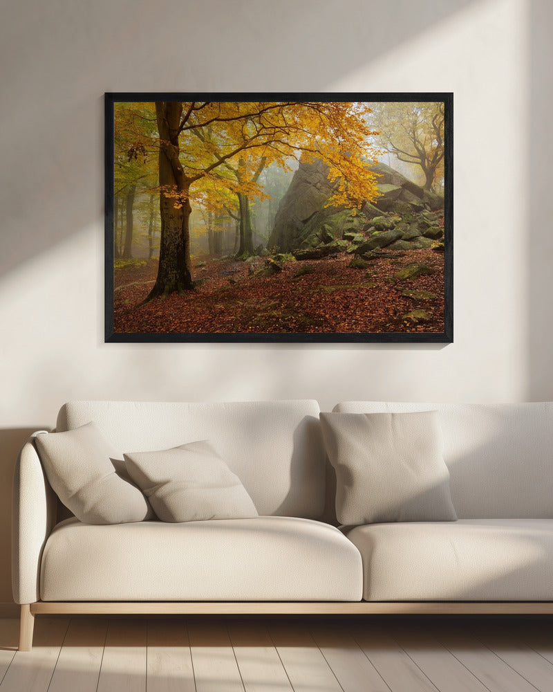 Herfstbos | Canvas
